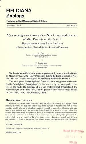 Tapa de Myoproctalges surinamensis