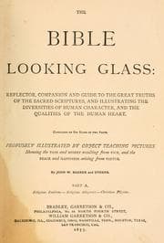 Tapa de The Bible looking glass