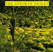 Tapa de Sonoran Desert