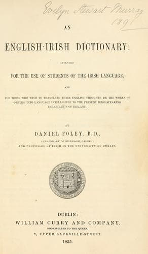 Tapa de An English-Irish dictionary