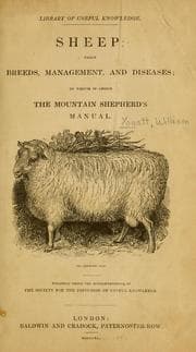 Tapa de Sheep