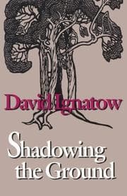 Tapa de Shadowing the ground