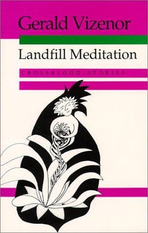 Tapa de Landfill meditation