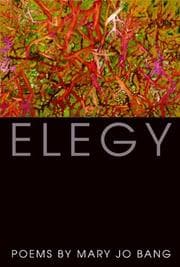 Tapa de Elegy