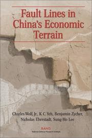 Tapa de Fault Lines in China's Economic Terrain