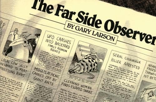 Tapa de The far side observer
