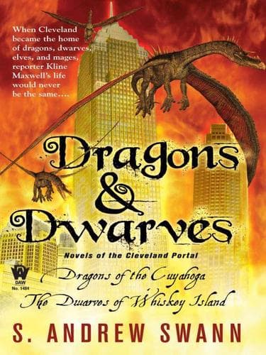 Tapa de Dragons & Dwarves
