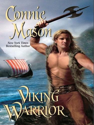 Tapa de Viking Warrior