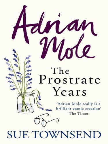 Tapa de The Prostrate Years