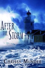 Tapa de After the Storm
