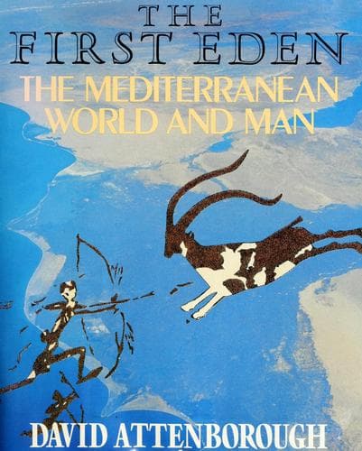 Tapa de The first Eden