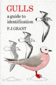 Tapa de Gulls