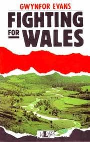 Tapa de Fighting for Wales