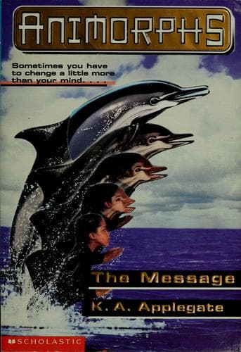 Tapa de The Message