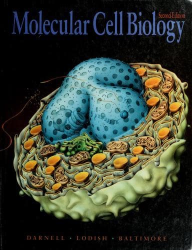 Tapa de Molecular cell biology
