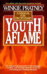 Tapa de Youth Aflame