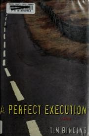 Tapa de A perfect execution