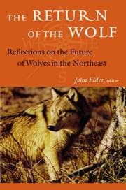 Tapa de The Return of the Wolf