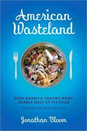 Tapa de American wasteland