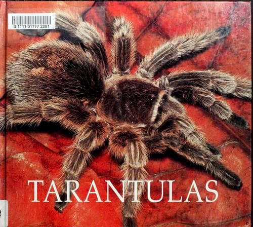 Tapa de Tarantulas