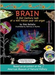 Tapa de Brain