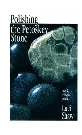 Tapa de Polishing the Petoskey stone
