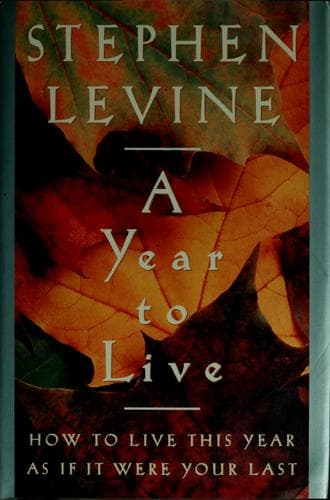 Tapa de A year to live