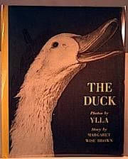 Tapa de Duck