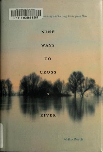 Tapa de Nine ways to cross a river
