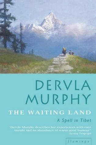 Tapa de The waiting land