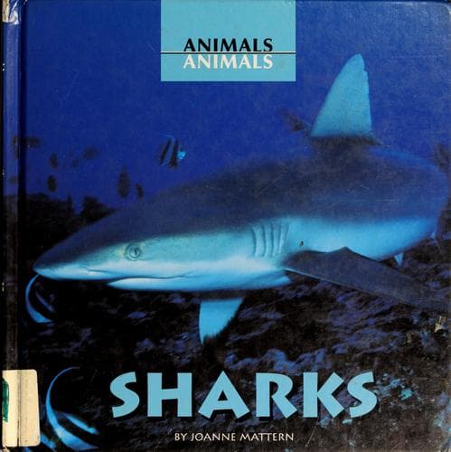 Tapa de Sharks