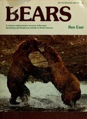 Tapa de Bears