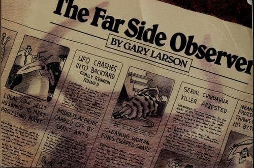 Tapa de The Far side observer