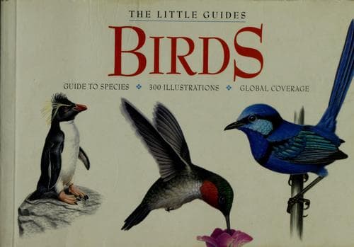 Tapa de Birds
