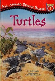 Tapa de Turtles
