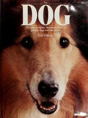 Tapa de The dog