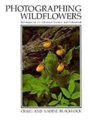 Tapa de Photographing wildflowers