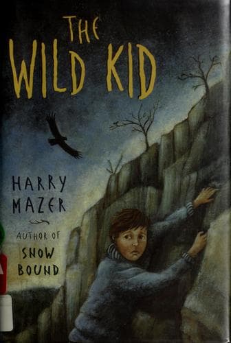 Tapa de The wild kid