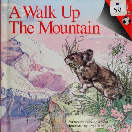 Tapa de A walk up the mountain
