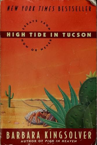 Tapa de High tide in Tucson