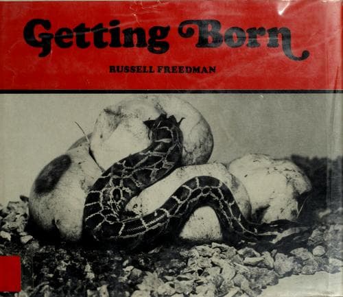 Tapa de Getting born
