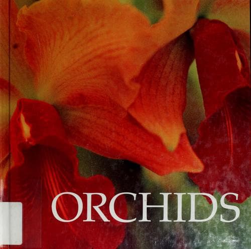 Tapa de Orchids
