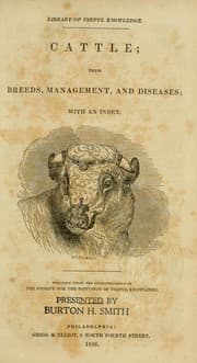 Tapa de Cattle