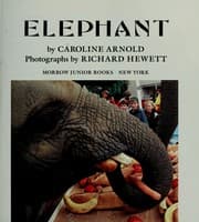 Tapa de Elephant