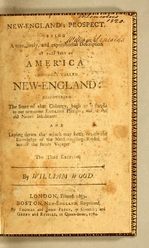 Tapa de New-England's prospect