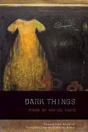 Tapa de Dark Things