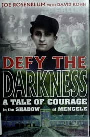 Tapa de Defy the darkness