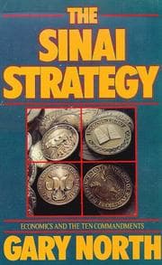 Tapa de The Sinai strategy
