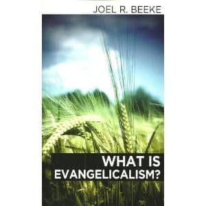Tapa de What Is Evangelicalism?