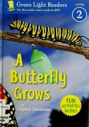 Tapa de A butterfly grows